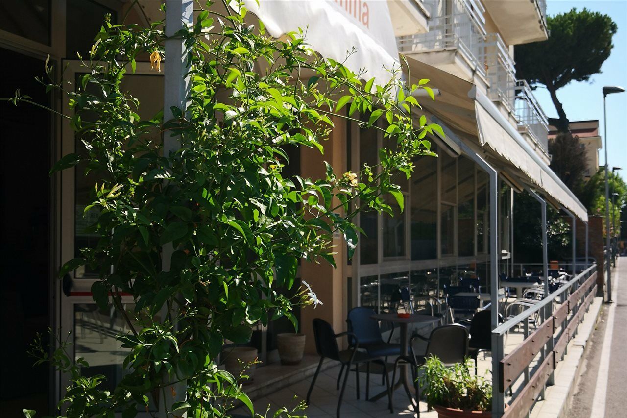 Hotel Gemma Rimini Eksteriør billede